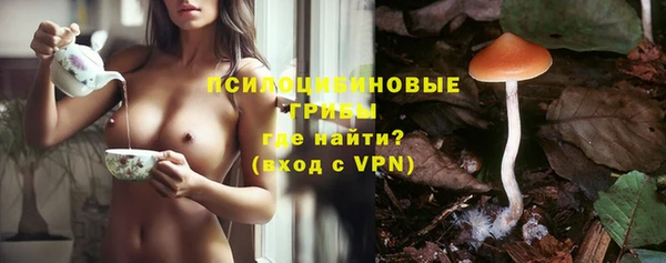 прущие крисы Беломорск