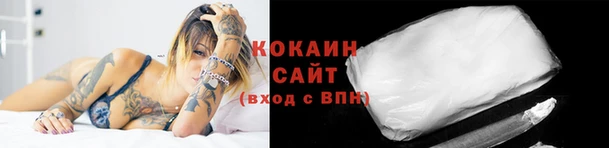 прущие крисы Беломорск