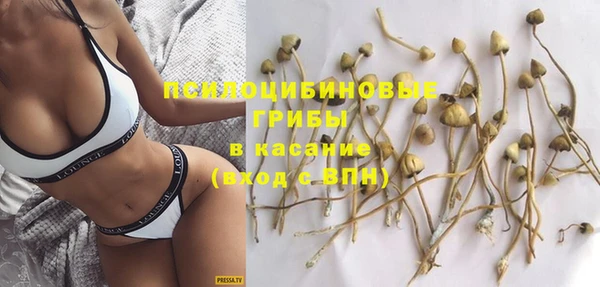 прущие крисы Беломорск