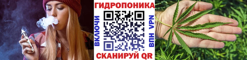 Конопля семена  даркнет официальный сайт  Куйбышев 